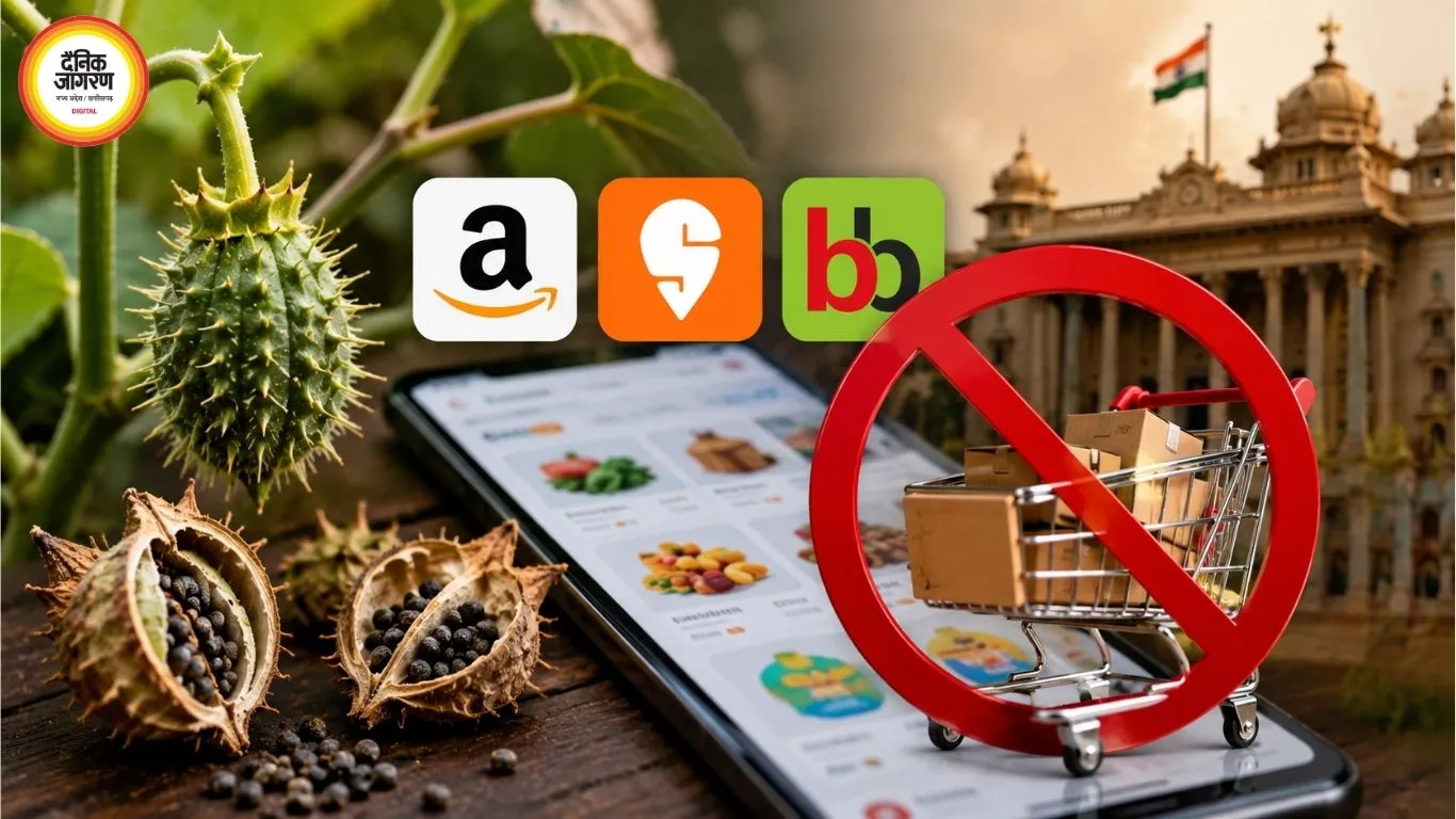 धतूरा ऑनलाइन बेचने पर कर्नाटक में बड़ा एक्शन, Amazon, Swiggy Instamart और BigBasket के फूड लाइसेंस सस्पेंड