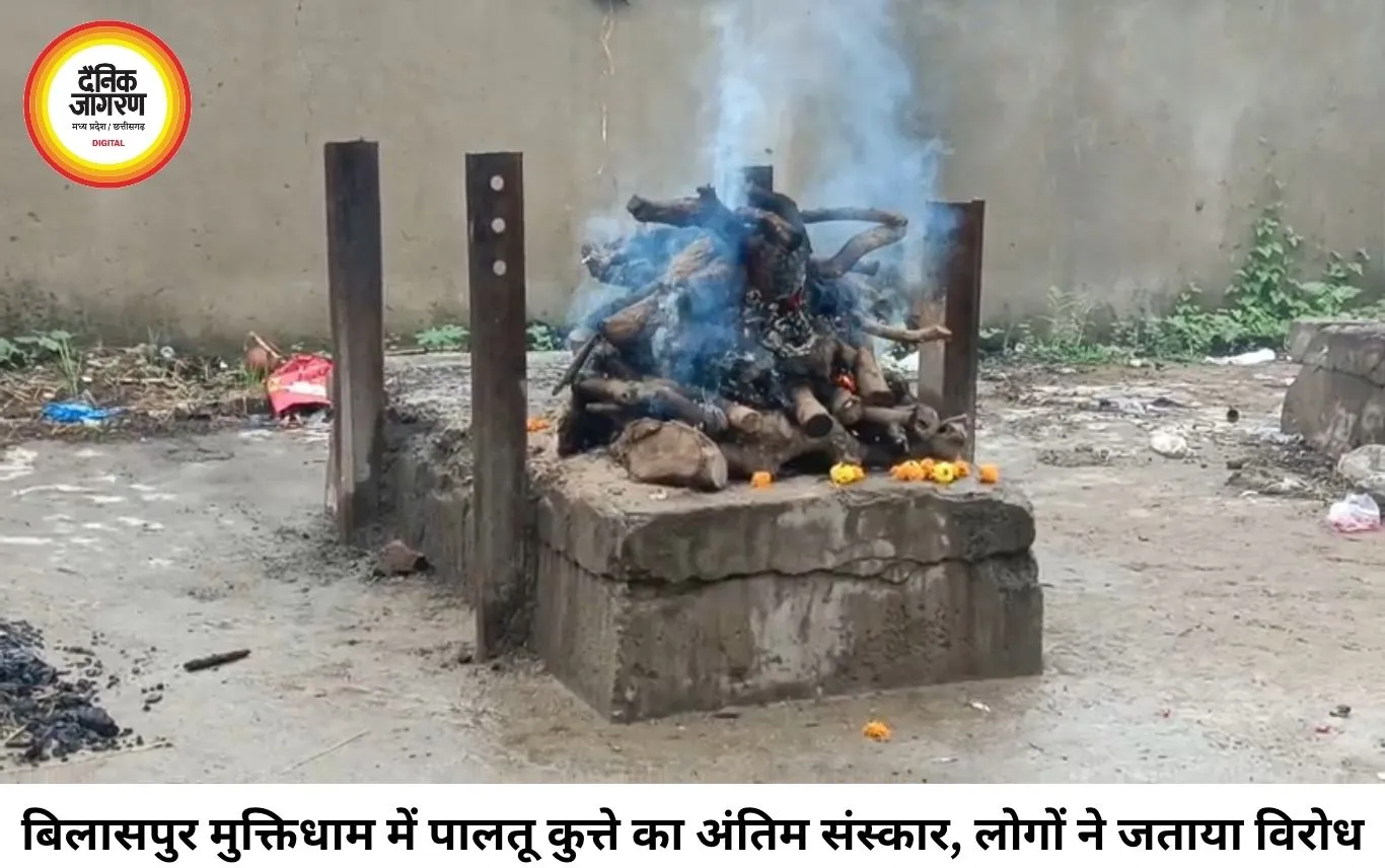 बिलासपुर के मुक्तिधाम में पालतू कुत्ते का अंतिम संस्कार, विरोध के बाद मचा बवाल