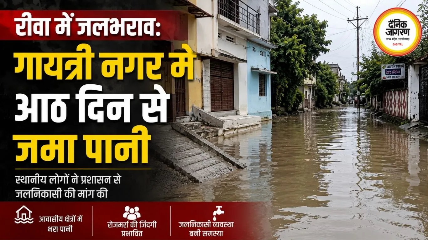 रीवा में जलभराव: गायत्री नगर में आठ दिन से जमा पानी