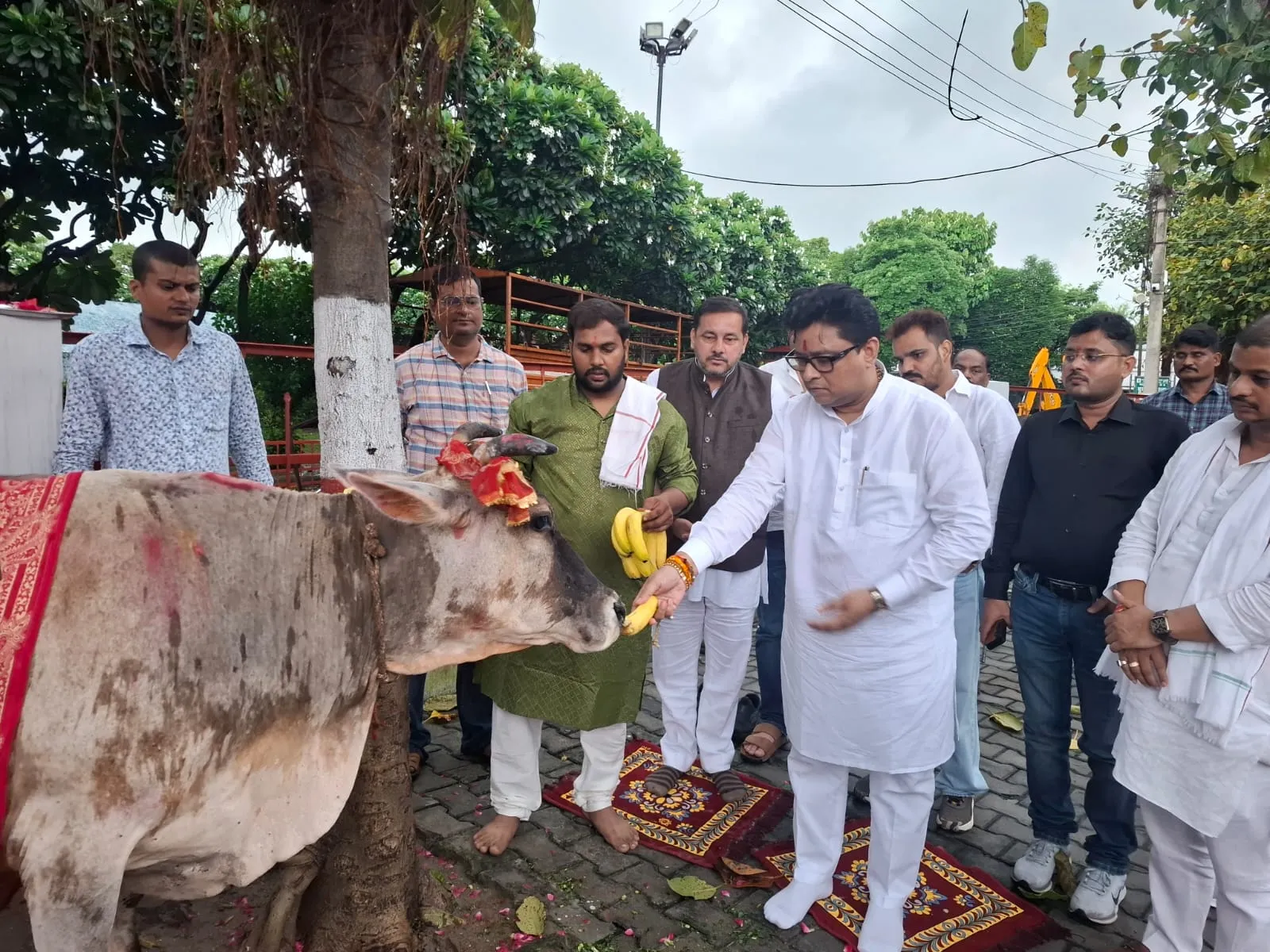 गौमाता की सेवा से बड़ा कोई पुण्य नहीं - कुलदीप माइती, लखनऊ कान्हा उपवन में किया गौ पूजन