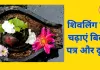 संकष्टी चतुर्थी 2025: शिवलिंग पर चढ़ाएं ये चीजें, मिलेगा विशेष कल्याण