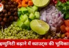सर्दियों में स्प्राउट्स सेहत के लिए कितने सुरक्षित? डॉक्टरों की राय और सही सेवन का तरीका