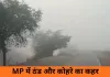 कोहरे और सर्द हवाओं की चपेट में मध्यप्रदेश, जनजीवन प्रभावित