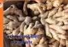 इस तरह अदरक को लंबे समय तक करें स्टोर, ताज़गी रहे बरकरार