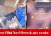 जबलपुर में जंगल से मिले बिजली विभाग के अहम कागजात
