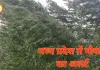 मध्य प्रदेश में मौसम का अलर्ट: 42 जिलों में आंधी-बारिश-ओलावृष्टि, 9 जिलों में ऑरेंज चेतावनी