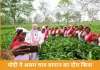 पीएम मोदी ने असम के डिब्रूगढ़ चाय बागान का दौरा किया, महिलाओं के साथ सेल्फी खिंचाई