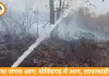 रीवा के गोविंदगढ़ जंगलों में आग, मानवीय लापरवाही की आशंका