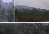 कुंवरपुर के जंगल में धधकी आग: 1 किमी तक फैली लपटें, हरियाली को भारी नुकसान