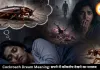 सपने में बार-बार कॉकरोच दिखना क्या देता है संकेत? जानिए इसका असर