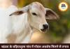 खंडवा के बड़ियातुला गांव में अवशेष मिलने से तनाव फैला, पुलिस तैनात