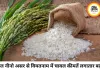 मौसम की मार से एशियाई चावल बाजार में हलचल, भारत में कीमतें फिलहाल स्थिर