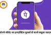 फोनपे वॉलेट पर नया नियम, इनएक्टिव यूजर्स से ₹100 फीस