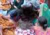धान की रोपाई कर रहे किसान पर गिरी आकाशीय बिजली, खेत में ही थम गई सांस