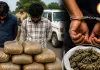 छत्तीसगढ़-ओडिशा बॉर्डर पर गांजा तस्करी का खुलासा, 11 किलो से ज्यादा गांजे के साथ दो आरोपी गिरफ्तार