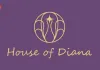 भारत में Luxury Silver Jewellery को मिल रहे हैं नए ग्राहक: House of Diana ला रहा है Premium D2C Design
