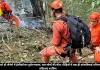 ब्राजील में हेलीकॉप्टर हादसा: रियो डी जेनेरो के तिजुका नेशनल पार्क में चार की मौत