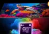 एलजी ने ग्राहकों के लिए विशेष स्वतंत्रता दिवस ऑफर्स के साथ 'ट्रस्ट ऑफ द नेशन' का जश्न मनाया