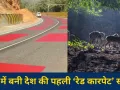 ‘रेड कारपेट’ जैसी सड़क: MP में वन्यजीवों की सुरक्षा के लिए देश की पहली टेबल टॉप रेड मार्किंग शुरू