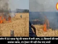 रायसेन में 50 एकड़ गेहूं की फसल में लगी आग, 11 किसानों की फसल जलकर खाक, 25 ट्रैक्टर भी नहीं रोक पाए लपटें
