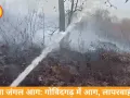रीवा के गोविंदगढ़ जंगलों में आग, मानवीय लापरवाही की आशंका
