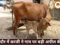इंदौर में ईद पर काजी की अपील, गाय को राष्ट्रीय धरोहर घोषित करें