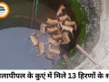 कालापीपल में कुएं से मिले 13 हिरण और एक कुत्ते के शव, जांच जारी