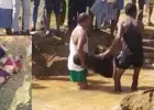शहद निकालते वक्त मधुमक्खियों का हमला, तालाब में कूदे पिता-पुत्र, मौत