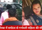 कोरबा में दर्दनाक हादसा: जहरीले सांप के डसने से 8 माह की गर्भवती महिला की मौत, 10 महीने पहले हुई थी शादी
