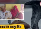 75 साल के सीताराम की रहस्यमयी कहानी: 42 साल में 14 बार सांप ने डसा, हर बार मौत से लौटे जिंदा