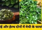 मेथी या कसूरी मेथी: जानिए कैसे पहचानें ये दो अलग पौधे