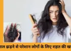 बालों का झड़ना रोकने के 3 देसी उपाय...
