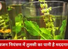 "सेहत का टॉनिक: तुलसी का पानी, वजन, शुगर और बीपी को रखे नियंत्रित"