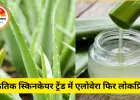 सर्दियों में स्किनकेयर का स्टार बना एलोवेरा जानें, उपयोग ... 