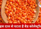 सर्दियों में कोलेस्ट्रॉल को कंट्रोल करती है यह दाल, दिल को रखती है सेहतमंद