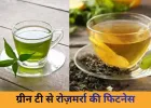 ग्रीन टी: स्वास्थ्य और ताजगी का प्राकृतिक साथी