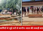 कोरबा में वन विभाग की बड़ी कार्रवाई, वनकर्मियों से जुड़े ठिकानों पर छापे में 2.21 लाख की इमारती लकड़ी जब्त