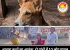 आवारा कुत्तों का आतंक: बालोद के दो गांवों में एक ही दिन 10 लोग घायल, दहशत के साये में ग्रामीण