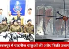 जबलपुर में अवैध चाइनीज चाकुओं का भंडाफोड़: जनरल स्टोर से 50 से ज्यादा बटनदार चाकू बरामद, दो आरोपी गिरफ्तार