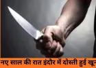 न्यू ईयर पार्टी में दोस्त की हत्या: मामूली विवाद ने ली युवक की जान, आरोपी हिरासत में