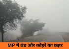 कोहरे और सर्द हवाओं की चपेट में मध्यप्रदेश, जनजीवन प्रभावित