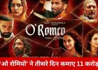 ‘ओ रोमियो’ बॉक्स ऑफिस पर मजबूत, तीसरे दिन 11 करोड़ की कमाई