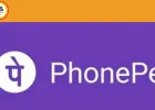 फोनपे ने लेंडिंग और इंश्योरेंस क्षेत्र में अपनी पकड़ मजबूत की; ये सेगमेंट बने ग्रोथ ड्राइवर्स