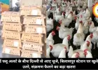 बर्ड फ्लू अलर्ट के बीच दिल्ली से आए चूजे, बिलासपुर स्टेशन पर खुले में उतरे, संक्रमण फैलने का बढ़ा खतरा