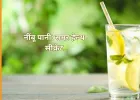गर्मी में नींबू पानी बना सेहत का सहारा: हाइड्रेशन से लेकर इम्यूनिटी तक देता है कई फायदे