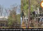 भोपाल गैसकांड कचरा जलाने वाली कंपनी में हुए 3 जोरदार ब्लास्ट, एक किमी तक मचा हड़कंप