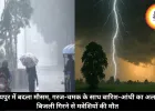 रायपुर में बदला मौसम, गरज-चमक के साथ बारिश-आंधी का अलर्ट, बिजली गिरने से मवेशियों की मौत
