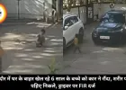 इंदौर में घर के बाहर खेल रहे 6 साल के बच्चे को कार ने रौंदा, शरीर पर पहिए निकले, ड्राइवर पर FIR दर्ज