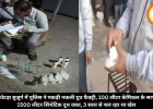 कोटड़ा बुजुर्ग में पुलिस ने पकड़ी नकली दूध फैक्ट्री, 100 लीटर केमिकल के साथ 1500 लीटर सिंथेटिक दूध जब्त, 3 साल से चल रहा था खेल