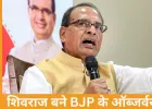 बिहार में नए CM पर मंथन तेज, BJP ने शिवराज सिंह चौहान को बनाया पर्यवेक्षक